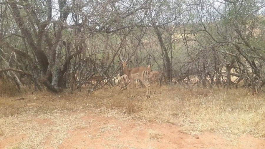 3 Bedroom Property for Sale in Parys Free State